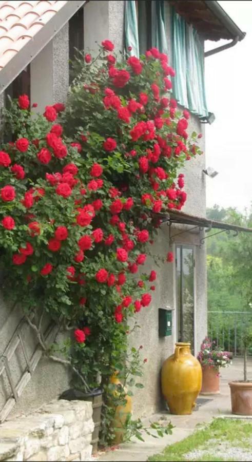 Casa Mazzocchi Vista Su Poppi Villa Kültér fotó